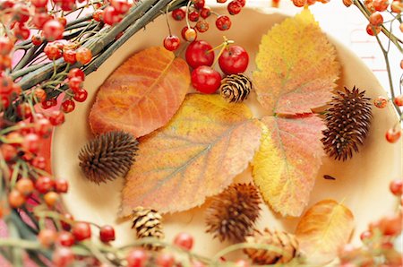 Beeren und Blätter Herbst Stockbilder - Lizenzpflichtiges, Bildnummer: 859-03041575