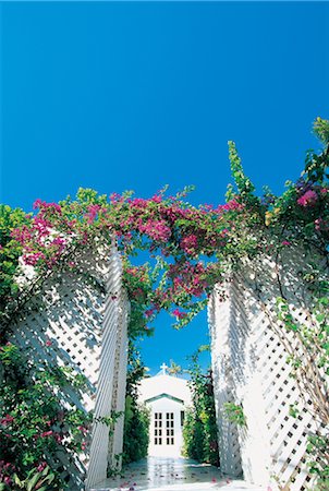 simsearch:859-03839130,k - White Gate To The Church Covered With Bougainvillea Fotografie stock - Rights-Managed, Codice: 859-03041601