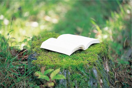Book On A Mossy Stump Stock Photo - Rights-Managed, Code: 859-03041717