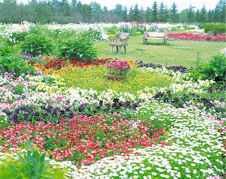 simsearch:859-03041462,k - Bench In A Flower Garden Stock Photo - Rights-Managed, Code: 859-03041766