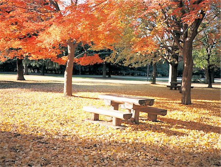 simsearch:859-03041462,k - Park Bench In Autumn Stock Photo - Rights-Managed, Code: 859-03041774