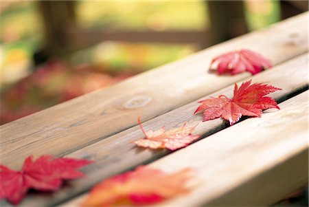 Herbstlaub auf einer Bank Stockbilder - Lizenzpflichtiges, Bildnummer: 859-03041775
