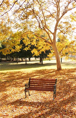 simsearch:859-03041575,k - Banc de parc en automne Photographie de stock - Rights-Managed, Code: 859-03041773