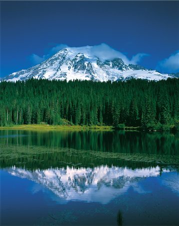 simsearch:859-03042782,k - Mt. Rainier National Park Foto de stock - Con derechos protegidos, Código: 859-03042069