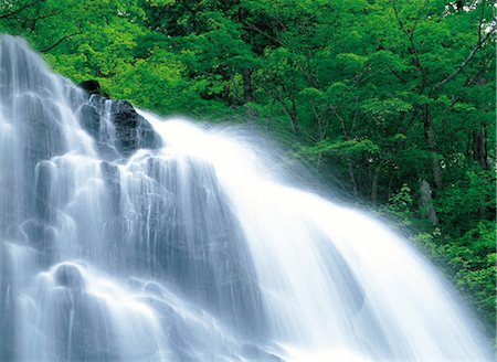 prise de courant - Waterfall in Forest Foto de stock - Con derechos protegidos, Código: 859-03042228
