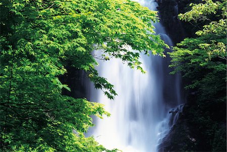 prise de courant - Waterfall in Forest Foto de stock - Con derechos protegidos, Código: 859-03042235