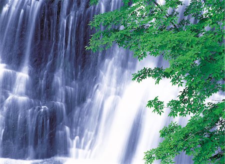 prise de courant - Waterfall in Forest Foto de stock - Con derechos protegidos, Código: 859-03042233