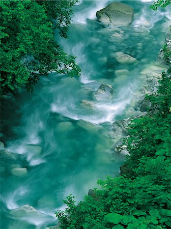 Bach im Wald Stockbilder - Lizenzpflichtiges, Bildnummer: 859-03042247