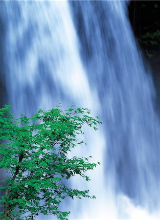 simsearch:859-03042231,k - Waterfall in Forest Stock Photo - Rights-Managed, Code: 859-03042241
