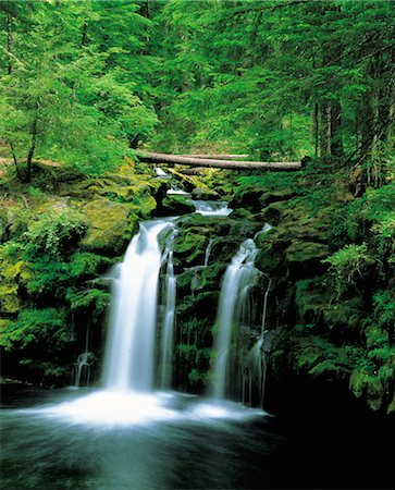 simsearch:859-03042286,k - Waterfall in Forest Foto de stock - Con derechos protegidos, Código: 859-03042250