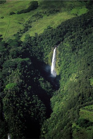 simsearch:859-03042286,k - Waterfall in Forest Foto de stock - Con derechos protegidos, Código: 859-03042317