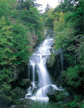 simsearch:859-03042171,k - Wasserfall im Wald Stockbilder - Lizenzpflichtiges, Bildnummer: 859-03042347