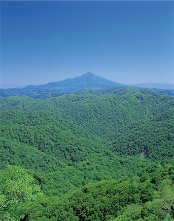 simsearch:859-03042690,k - Mountain Range,Treetops Stock Photo - Rights-Managed, Code: 859-03042828