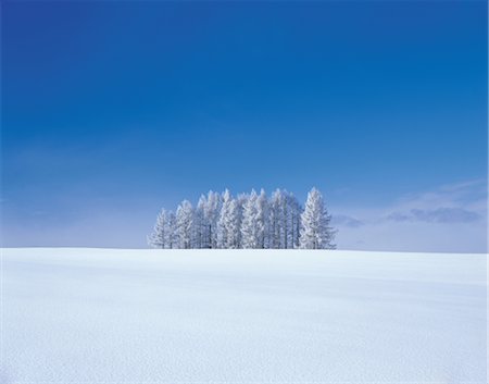 simsearch:859-03042690,k - Snow Covered Trees in Snow Plain Stock Photo - Rights-Managed, Code: 859-03043377
