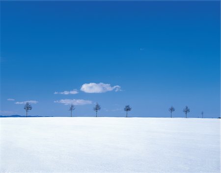 simsearch:859-03042690,k - Trees in Snow Plain Stock Photo - Rights-Managed, Code: 859-03043378