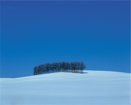 simsearch:859-03042690,k - Trees in Snow Plain Stock Photo - Rights-Managed, Code: 859-03043379
