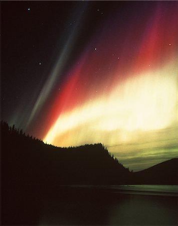 simsearch:859-03043645,k - Aurora Borealis over a Forest Stock Photo - Rights-Managed, Code: 859-03043621
