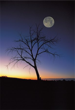 simsearch:859-03043693,k - Vue panoramique sur la lune Photographie de stock - Rights-Managed, Code: 859-03043687