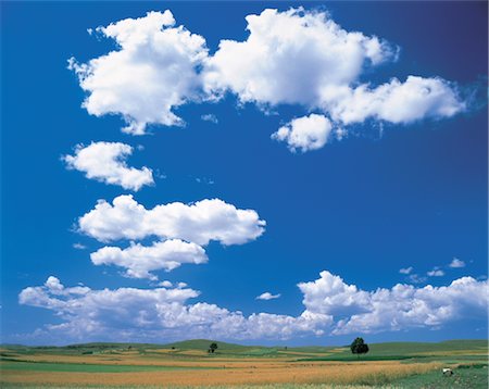 simsearch:859-03043996,k - Plaine de nuages Photographie de stock - Rights-Managed, Code: 859-03043999