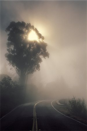 Foggy Road Stock Photo - Rights-Managed, Code: 859-03194006