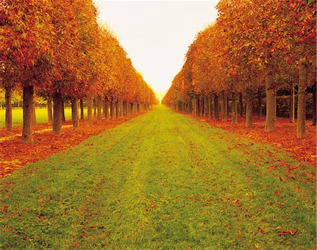 Route automne Photographie de stock - Rights-Managed, Code: 859-03194038