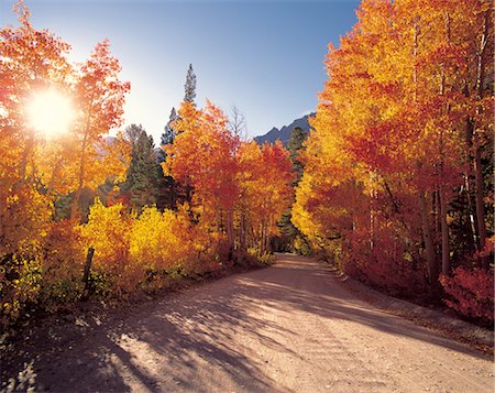 rustic streets - Autumn Road Stock Photo - Rights-Managed, Code: 859-03194042