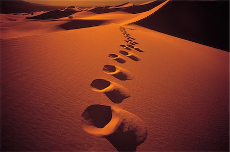 desert trail - Desert Tracks Stock Photo - Rights-Managed, Code: 859-03194447