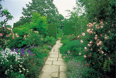 shrubs walkway - Route des ligné Photographie de stock - Rights-Managed, Code: 859-03193927