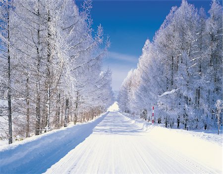 rustic streets - Winter Road Stock Photo - Rights-Managed, Code: 859-03193987