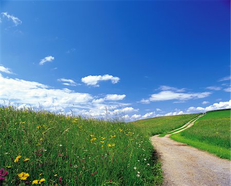 Sentier de pays Photographie de stock - Rights-Managed, Code: 859-03193990