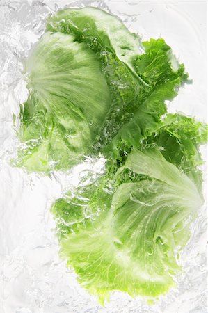 Lettuce Splashing In To Water Stock Photo - Rights-Managed, Code: 859-03598683