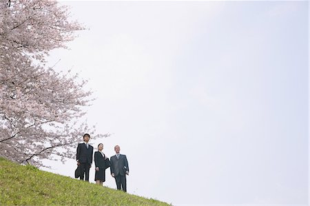 Businessmen and Businesswoman Standing in park Stock Photo - Rights-Managed, Code: 859-03598988