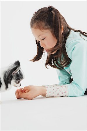 simsearch:859-03599527,k - Chihuahua And Girl Stock Photo - Rights-Managed, Code: 859-03599509