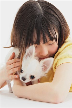 simsearch:859-03599527,k - Chihuahua And Girl Stock Photo - Rights-Managed, Code: 859-03599514