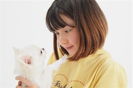 dog person white background - Chihuahua And Girl Stock Photo - Rights-Managed, Code: 859-03599511