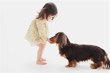 dog person white background - Miniature Dachshund And A Girl Stock Photo - Rights-Managed, Code: 859-03599532