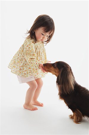 dog food eating - Miniature Dachshund And A Girl Stock Photo - Rights-Managed, Code: 859-03599533