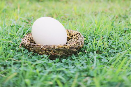 Egg Of Ostrich,Close Up Stock Photo - Rights-Managed, Code: 859-03600144