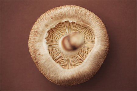 simsearch:859-03600840,k - Shitake Stock Photo - Rights-Managed, Code: 859-03600851