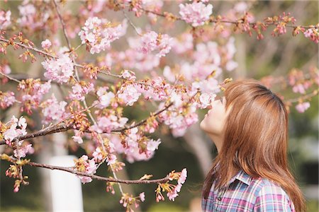 simsearch:859-03730527,k - Woman Looking Cherry Blossoms Foto de stock - Con derechos protegidos, Código: 859-03730526