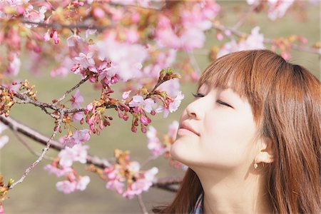 Woman Smelling Cherry Blossoms Foto de stock - Con derechos protegidos, Código: 859-03730544