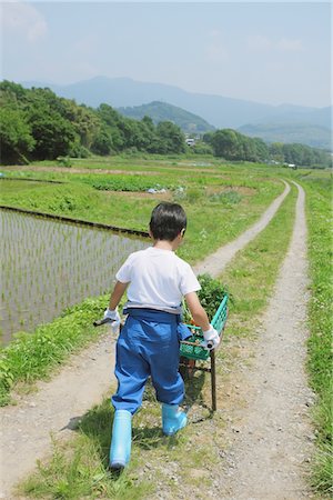 simsearch:400-07480530,k - Boy Moving Wheelbarrow Stock Photo - Rights-Managed, Code: 859-03755174