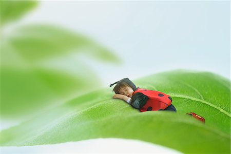 Boy Dressed as Ladybug Sleeping on Leaf Foto de stock - Con derechos protegidos, Código: 859-03781986