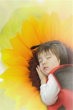 soft yellow background - Boy Dressed as Ladybug Sleeping on Sunflower Stock Photo - Rights-Managed, Code: 859-03781987