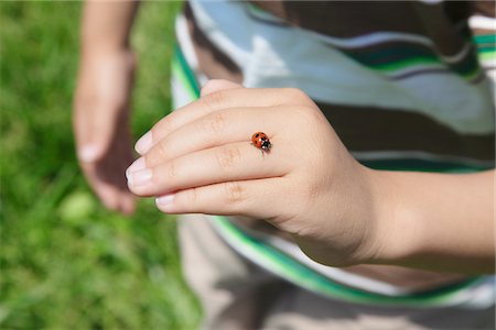 Coccinelle sur les mains Photographie de stock - Rights-Managed, Code: 859-03782350