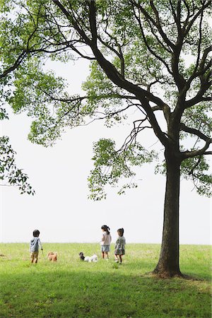 Children with Poodle Dogs Foto de stock - Con derechos protegidos, Código: 859-03805840