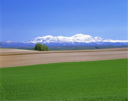 Mt.Daisetsu, Hokkaido, Japan Stock Photo - Rights-Managed, Code: 859-03806607