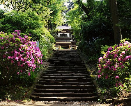 photographs japan temple flowers - Jochi-ji, Kanagawa, Japon Photographie de stock - Rights-Managed, Code: 859-03806748