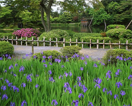 Kenrokuen, Ishikawa, Japan Foto de stock - Con derechos protegidos, Código: 859-03806754