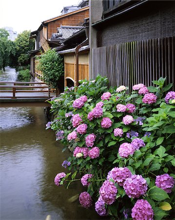 Kyoto, Japan Stock Photo - Rights-Managed, Code: 859-03806783